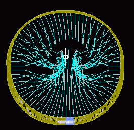 Ringwing