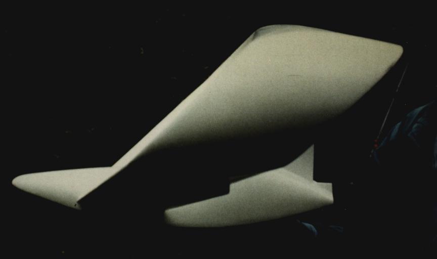 Ringwing klein von der Seite